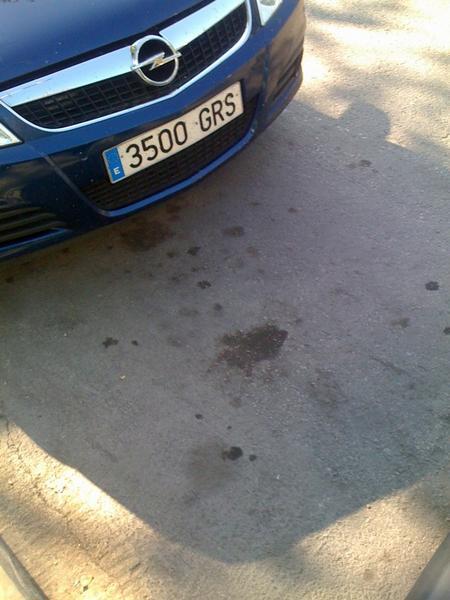 mini-IMG_0380.thumb.jpg.371939f4a304d1aa