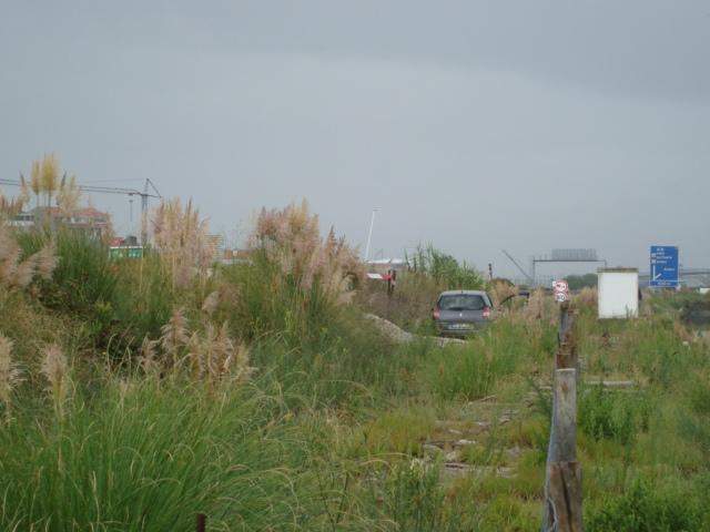 pic00053.thumb.jpg.e9d83f4e798835a112834