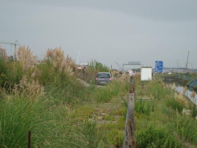 pic01999.thumb.jpg.a41a8812dfea5268763bf