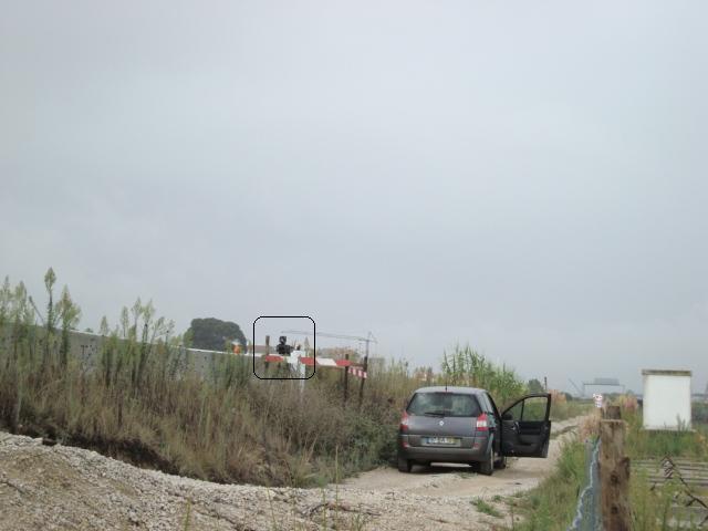 pic03602.thumb.jpg.e229fb03ea1698e91fcab