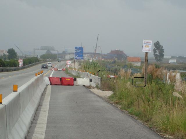 pic06483.thumb.jpg.f8333c658768f2ef1f202