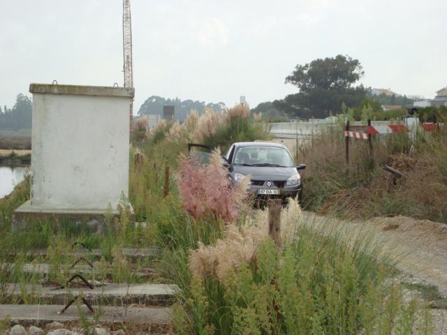 pic08281.thumb.jpg.e5a53a0eb5b07ce22c7e1