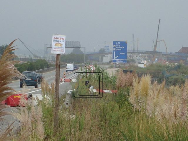 pic27595.thumb.jpg.adf3ee4d45df5fb5fb562