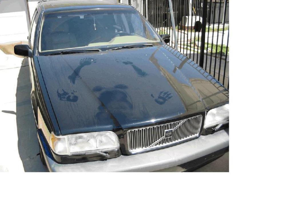 polvetesobrevolvo.thumb.JPG.fcfc3fb3318c