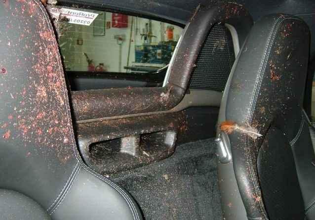 porsche03.thumb.jpg.5874d1083894805959a4