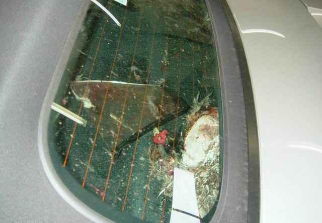 porsche04.thumb.jpg.b07a67a3722fc2eb1a87