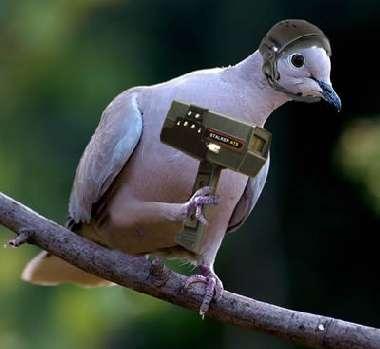 radarmovil.thumb.jpg.2235aaf694a7207ba2b