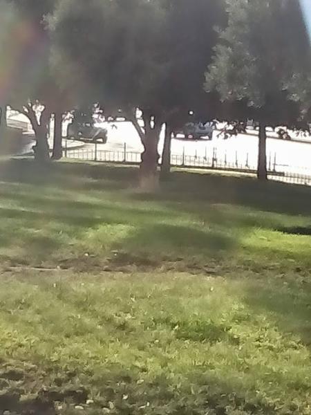 radr.thumb.jpg.32d3f82dfde84aaf7a496963f