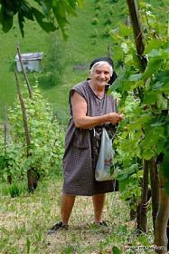 t_papa_112.thumb.jpg.ffcbf6fa89a3c52769a