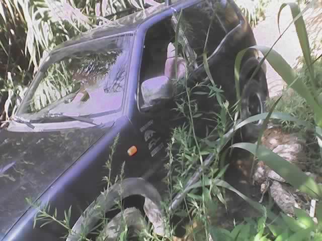 trialeando.thumb.jpg.1b0dd788a29ac4e2525